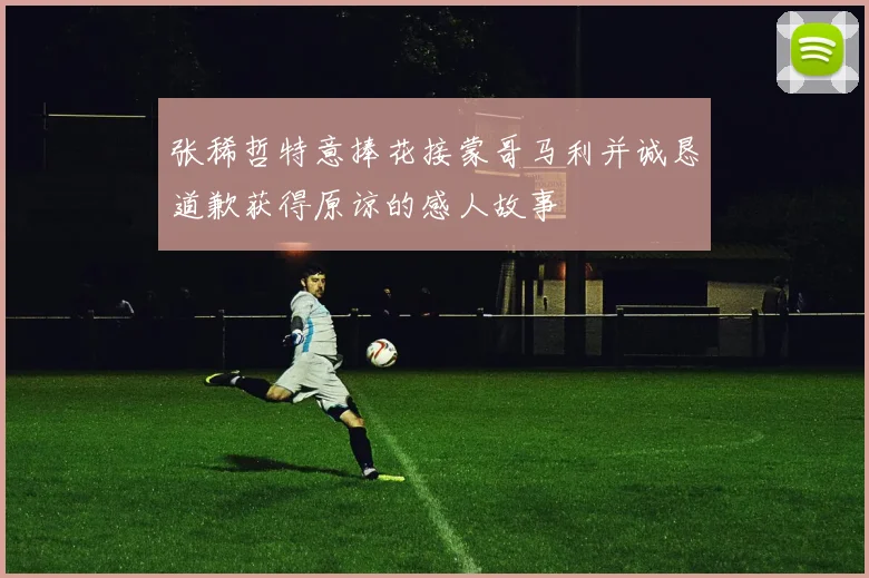 张稀哲特意捧花接蒙哥马利并诚恳道歉获得原谅的感人故事